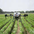 Landwirtschaftsdrohne DJI Agras T10 bringt Granulat auf Agrarfläche mit Jungpflanzen aus