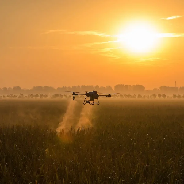 Landwirtschaftsdrohne DJI Agras T10 Spritzmittelausbringung im Sonnenuntergang