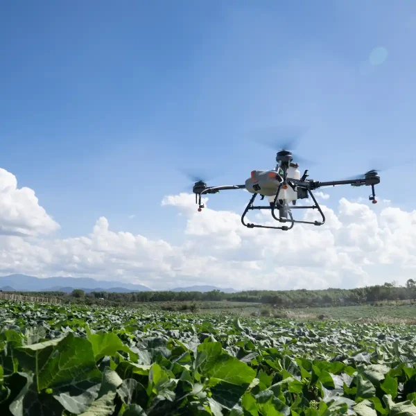 Landwirtschaftsdrohne DJI Agras T10 Spritzmittelausbringung Feld