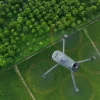 DJI Mavic 3 Multispektral Drohne fliegt über Forstgebiet