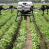 Landwirtschaftsdrohne DJI Agras T10 bringt Granulat auf Agrarfläche mit Jungpflanzen aus