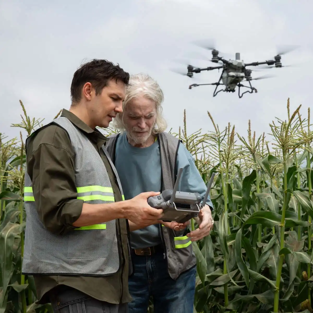 DJI Agras T100 fliegt über Maisfeld und Pilot und Landwirt überwachen die RC